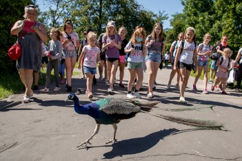 Wizyta w ZOO w Parku Śląskim. fot. Tomasz Żak / UMWS 