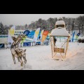  Beskidy Winter Go. fot. Tomasz Żak / UMWS 