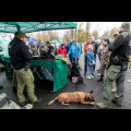  Wojewódzkie Obchody Narodowego Święta Niepodległości. fot. Tomasz Żak / UMWS 