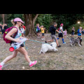  Pucharu Polski w Dogtrekkingu:. fot. Tomasz Żak / UMWS 