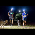  Pucharu Polski w Dogtrekkingu:. fot. Tomasz Żak / UMWS 