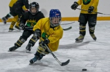  Trening hokeistów HC GKS Katowice 