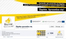  Strona w serwisie Facebook 