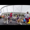  XI Silesia Marathon / fot. Tomasz Żak / UMWS 