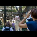 Wizyta w ZOO w Parku Śląskim. fot. Tomasz Żak / UMWS 